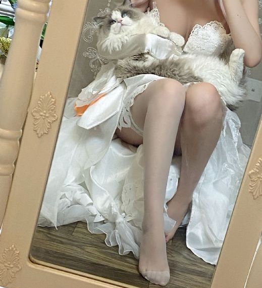 贪婪2016