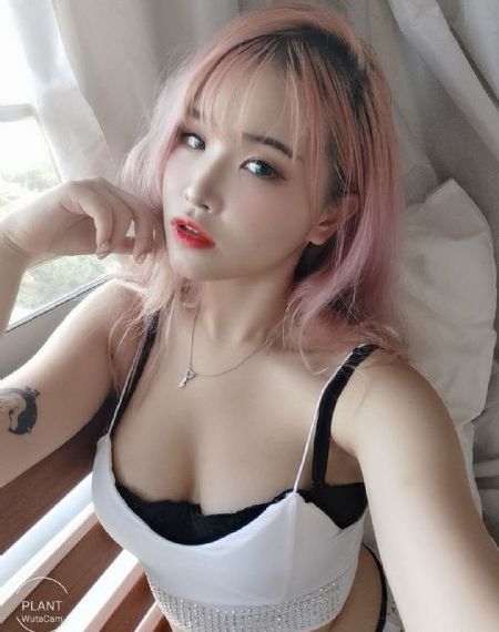 泰剧网