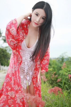 喜爱夜蒲