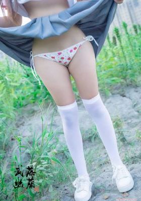 美丽小蜜蜂