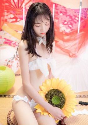 青云志2免费观看电视剧全集
